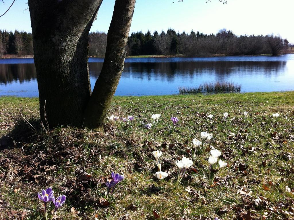 Tollundgaard Golf Park & Apartments Funder Kirkeby Екстериор снимка